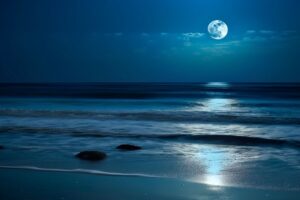 夜の海。蒼い世界のイメージを描写。
